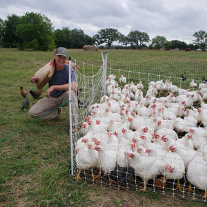 Pasture-Raised Chickens at Farm 1701